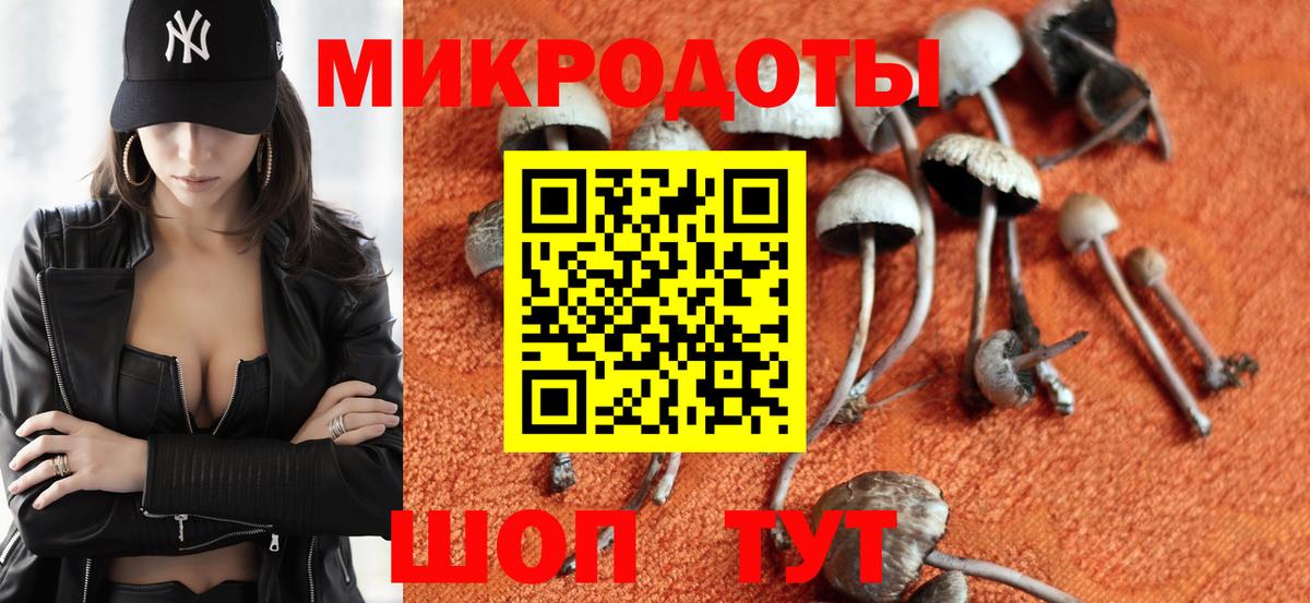 Псилоцибиновые грибы ЛСД Можга