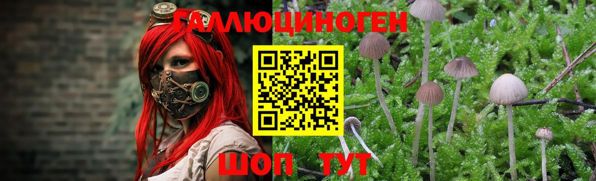 Псилоцибиновые грибы ЛСД  Галлюциногенные грибы MAGIC MUSHROOMS  Можга  Вход с VPN 